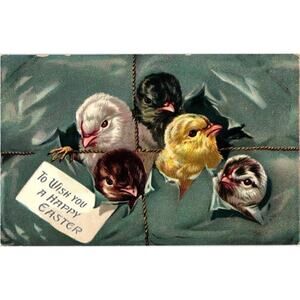 A Happy Easter Baby Chicks Poking Heads Out Tucks‎ Postcard Unposted Embossed